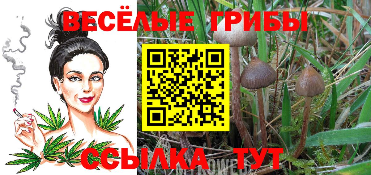 Тавда  Галлюциногенные грибы Cubensis  Вход с VPN 